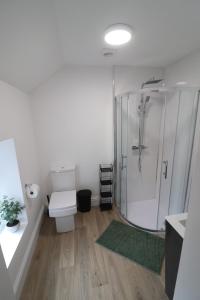 a bathroom with a white toilet and a shower at Emerald nest Eastbourne in Eastbourne