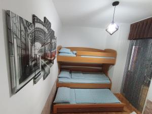 Apartment HOLIDAY LAKE - PIVA 2022 tesisinde bir ranza yatağı veya ranza yatakları