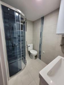 een badkamer met een douche, een toilet en een wastafel bij Apartman Kućica u cveću in Jagodina