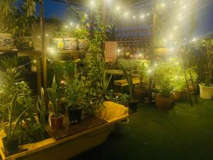 Zahrada ubytování Anavrin Art House