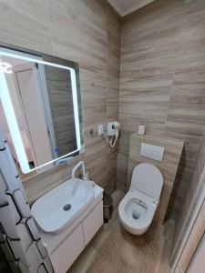 Un baño con inodoro, lavabo y espejo. en Xena, en Belgrado