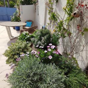 un montón de plantas en un jardín con una mesa en Maison JUAN LES PINS Plages clim charme en Antibes