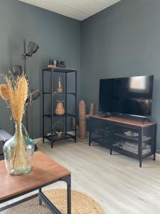 TV a/nebo společenská místnost v ubytování Villa LCSM et studio