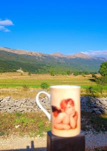 Una taza de café con una foto de un bebé. en Landhaus Kate en Lusnić