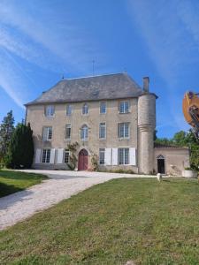 a large house with a dog in front of it at Chateau de Brie in Aulnay