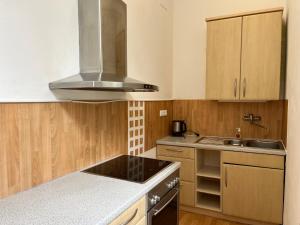 a kitchen with a sink and a stove top oven at Apartmán s výhledem na zámek I in Vimperk