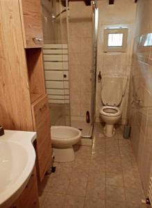 a bathroom with a toilet and a shower and a sink at Il Podere di Massi in Barberino di Mugello