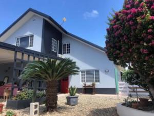 a white house with palm trees in front of it at Palmhouse Aruba 1-2 persons in Pos Chiquito