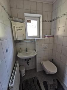 een kleine badkamer met een toilet en een wastafel bij Haus Schrei in Grundlsee