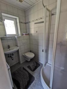 een badkamer met een douche, een toilet en een wastafel bij Haus Schrei in Grundlsee