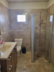 a bathroom with a shower and a toilet and a sink at צימר רמון in Mitzpe Ramon