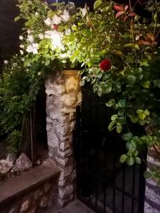 Vonkajšia záhrada v ubytovaní Mi Casa Vendégház - Apartments