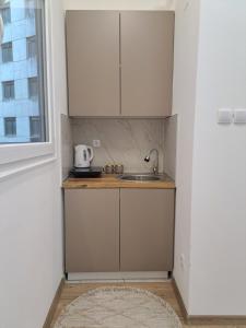 Una pequeña cocina con fregadero y ventana. en Xena, en Belgrado 7 fotos más