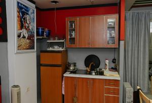 Kuchyň nebo kuchyňský kout v ubytování Hotel Hostel Bonito + 5 fotografií
