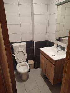 a bathroom with a toilet and a sink at A l e k a in Radovići