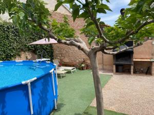 ein Baum im Innenhof mit einem Tisch und einem Sonnenschirm in der Unterkunft Casa rural LA PEDANIA 