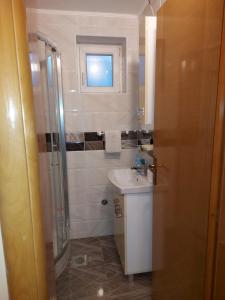 y baño pequeño con lavabo y ducha. en Vikendica Nika en Palić