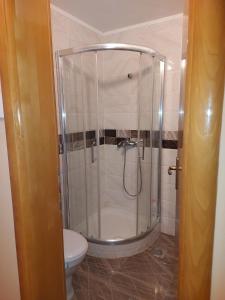 eine Dusche im Bad mit WC in der Unterkunft Vikendica Nika in Palić