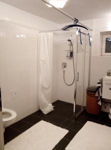 ein Bad mit einer Dusche und einem WC in der Unterkunft FeApp Parken & Pennen in Mondsee