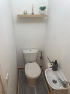 a small bathroom with a toilet and a sink at Appartement in hartje lier in Lier