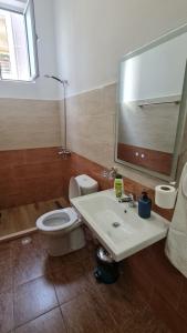 a bathroom with a toilet and a sink and a mirror at Hotel Brace in Gjirokastër