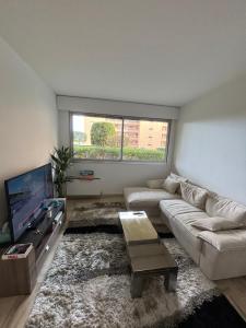 蒙特卡罗Petit Nid - Monaco的配有沙发和平板电视的客厅