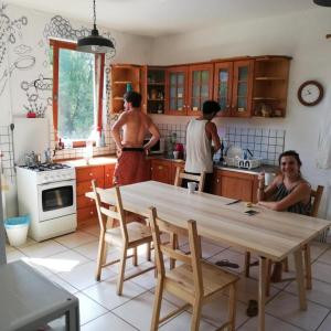 Kuchyň nebo kuchyňský kout v ubytování Budapest Garden Hostel