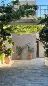 un groupe de plantes en pot assises sur un mur dans l'établissement Ancora Resort, à Acciaroli