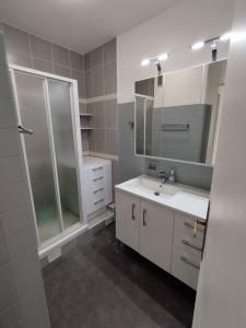La salle de bains est pourvue d'un lavabo, d'une douche et d'un miroir. dans l'établissement Appart familial & fonctionel--La Défense, à Puteaux