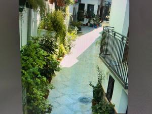 a view of a street with plants and a balcony at Casa Adrián in Quesada +14 photos