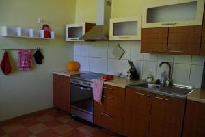 Kuchyň nebo kuchyňský kout v ubytování Kursi Summer Manor