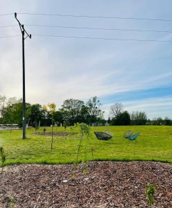 a field with two chairs on the grass at Lawendowy Domek in Ruciane-Nida