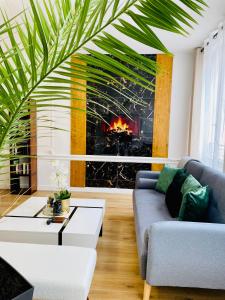 ein Wohnzimmer mit einem Sofa und einem Kamin in der Unterkunft Bel Appartement pour 2 personnes vue latérale sur le port in Le Tréport
