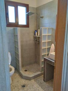 y baño con ducha, aseo y lavamanos. en Villa Agkaze, en Leptokarya