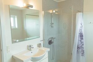 een badkamer met een wastafel en een douche met een spiegel bij 3 BR Villa for 7 guests in Tórshavn in Tórshavn