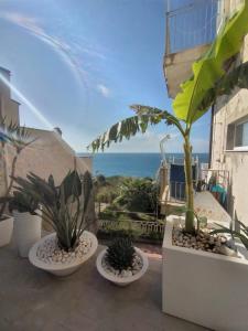 ピッツォにあるCasa sulla Scogliera Piedigrottaの海を背景にしたパティオに置かれた3つの鉢植え