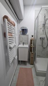 Un baño blanco con lavabo y ducha. en Le Charme Rosé, en Villejuif