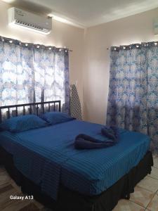 a bedroom with a bed with blue sheets and curtains at Beverley's Guest House, Nevis in Nevis