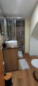 a bathroom with a sink and a shower and a toilet at Grand Studio 52 in Faro