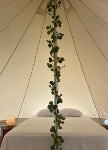 Postel nebo postele na pokoji v ubytování Glamping Anturios