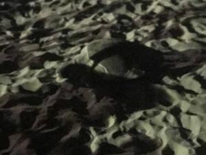Fotografie z fotogalerie ubytování Increíble depto. en playa privada. v Acapulcu