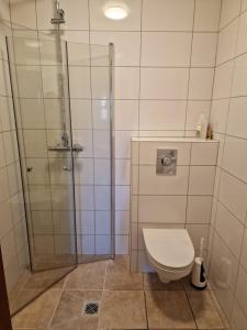 uma casa de banho com um chuveiro e um WC. em Húsid Guesthouse em Reykholt