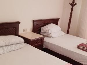 阿莱曼Porto marina的相册照片