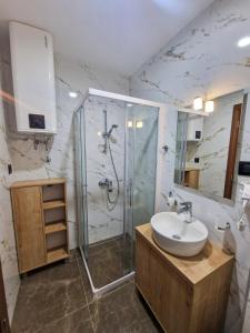 ein Bad mit einer Dusche und einem Waschbecken in der Unterkunft Apartmani Fantasia Cetinje in Cetinje