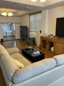 sala de estar con sofá y TV de pantalla plana en Bigstone Terrace suite　堤町 en Aomori