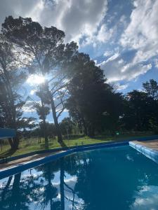 a swimming pool with a tree in the background at Casa Qi in Villa Giardino