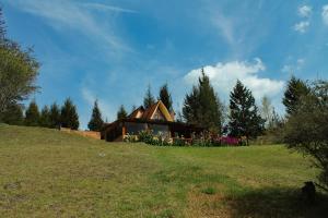 a house on a hill in a field at Alojamiento rural Chalet el Pinar en Ubaté-Guachetá, Cundinamarca in Ubaté