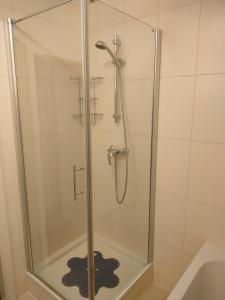 a shower stall with a glass door in a bathroom at Doppelzimmer mit Seeblick - Neusiedlersee in Breitenbrunn