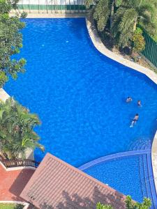 an overhead view of a large blue swimming pool at Executive room in Manila