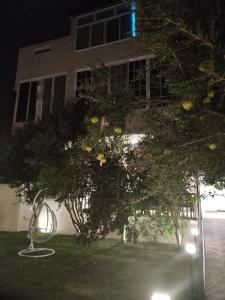 un albero di fronte a una casa di notte di فيلا اورنيلا ad Al Hada